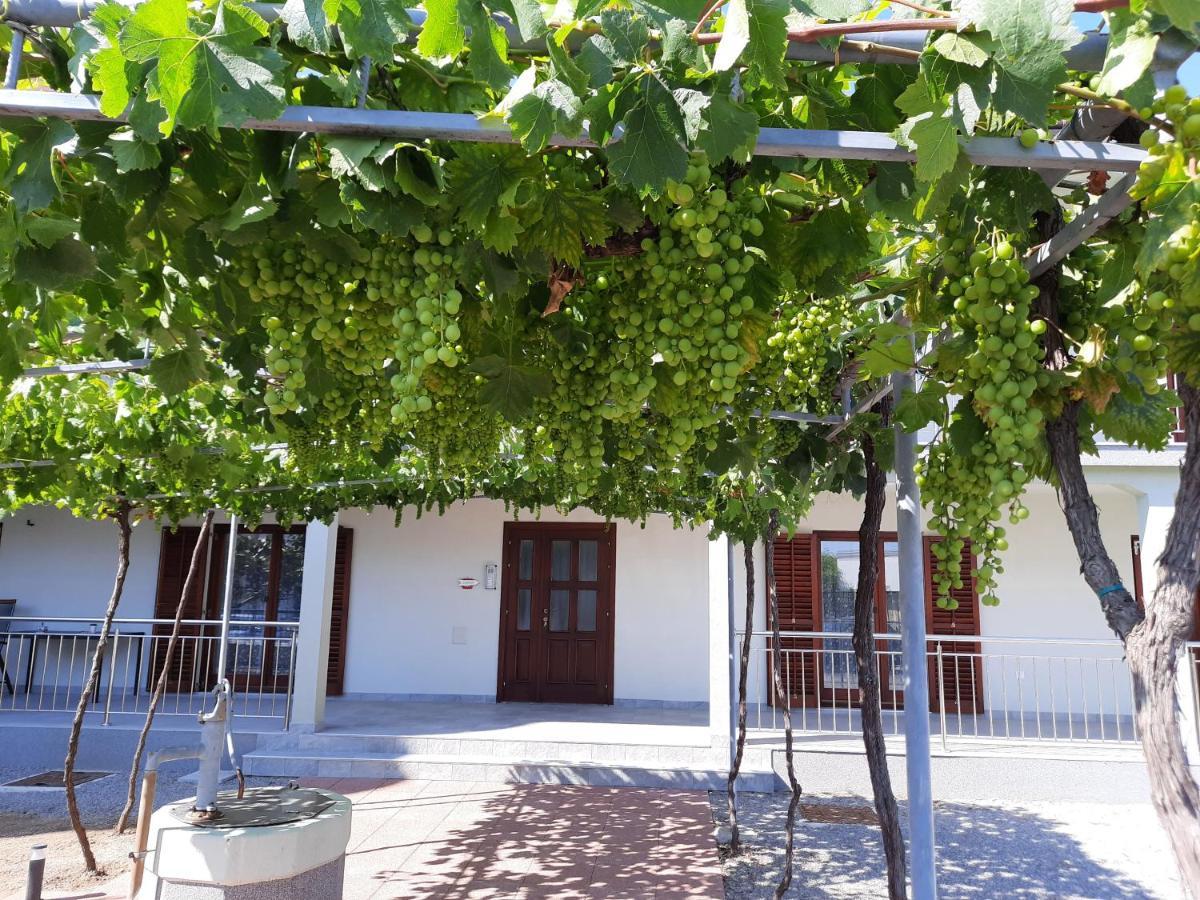 Green House Apartments Novi Vinodolski Exterior foto